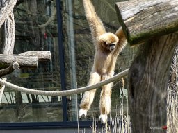 Tiergarten Schönbrunn am 23.03.2023
